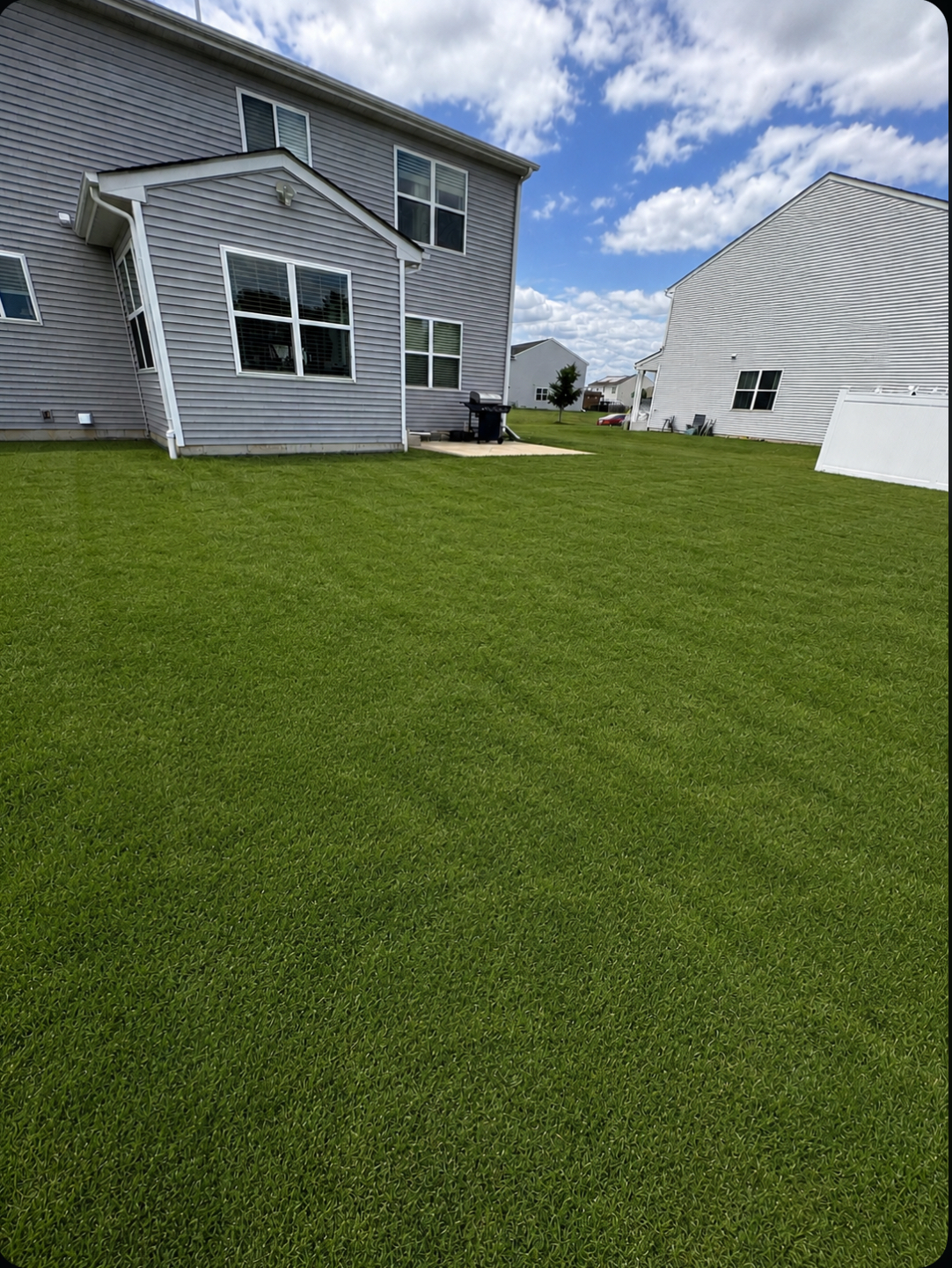 Before — grass yard